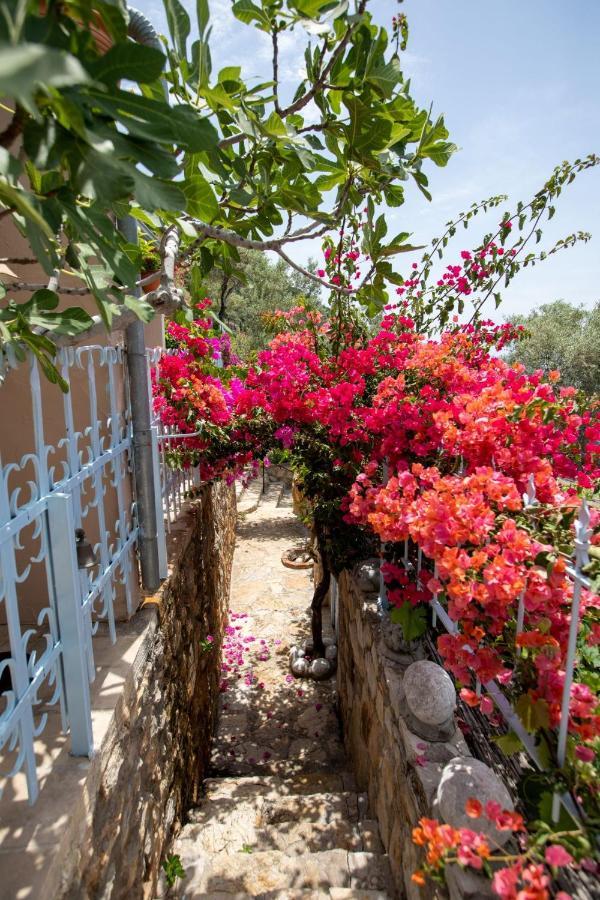 Beyaz Yunus Hotel - Adult Only Oludeniz Exterior photo